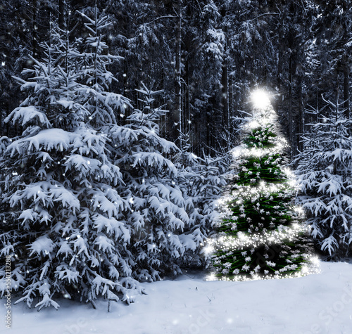Leuchtender Weihnachtsbaum in einem verschneiten winterwald