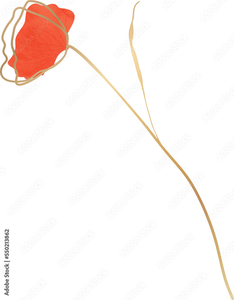 Red watercolor flower illustration Red watercolor flower illustration