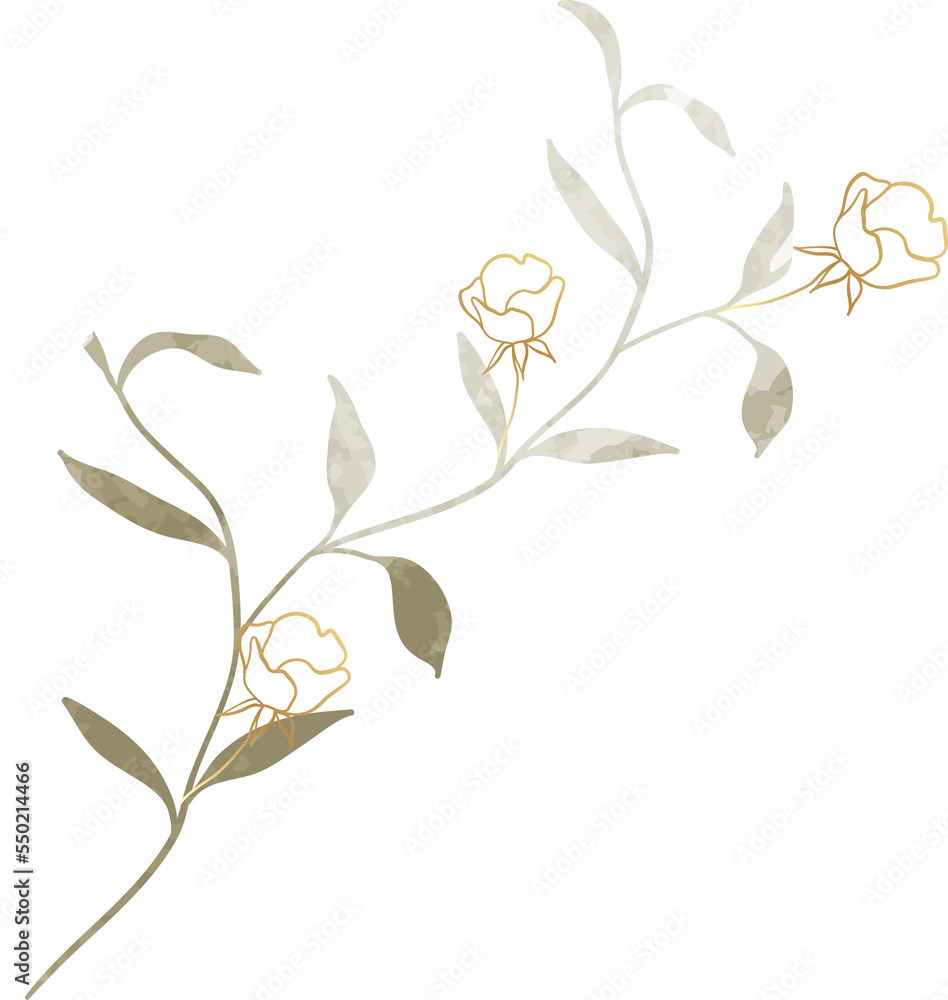 Watercolor flower illustration Watercolor flower illustration