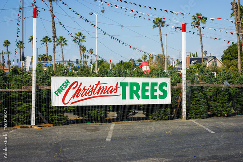 Christmas tree lot and sign