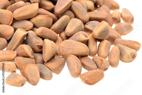 Pine Nuts Isolated on White Background