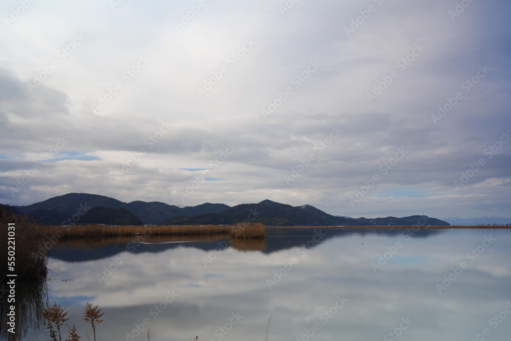 Obraz premium Cold midwinter overcast, large lake and reeds