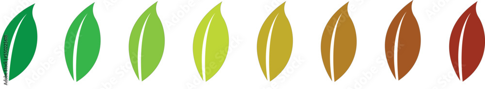 Autumn leaf set arranged in color palette in row, isolated on white, for autumn design and decoration. Autumn leaf set arranged in color palette in row, isolated on white, for autumn design and decoration.