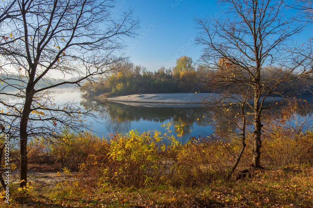 Fototapeta premium october landscape with trees