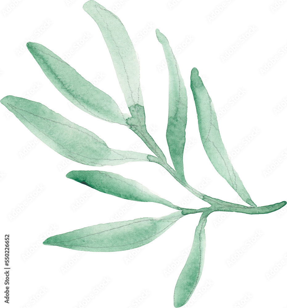 Obraz premium Watercolor leaf 