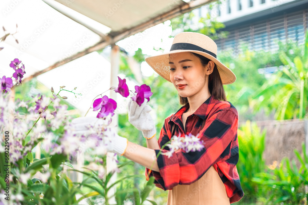 Happy gardener woman in gloves plants flowers in greenhouse using tablet check growth quality of Plant. Florists woman working gardening in the backyard. Flower care harvesting.