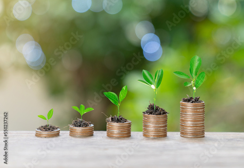 Coins stack with plant tree on wooden table.