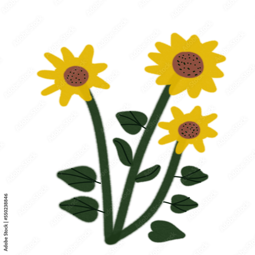 Obraz premium flower