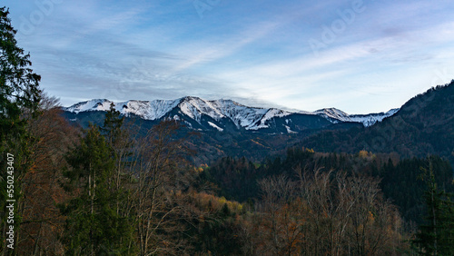 Panorama mit dem herbstlichen Dornbirn Kehlegg und der frisch verschneiten Gebirgskette First im Hintergrund. blauer Himmel mit föhnigen Schleierwolken. © Dieter