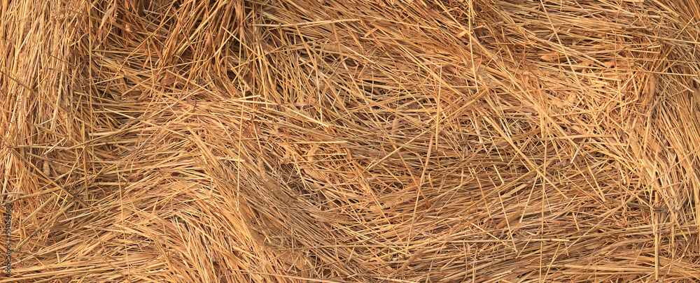 background texture straw yellow nature ornament background texture straw yellow nature ornament