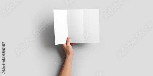 Hand with blank brochure on...