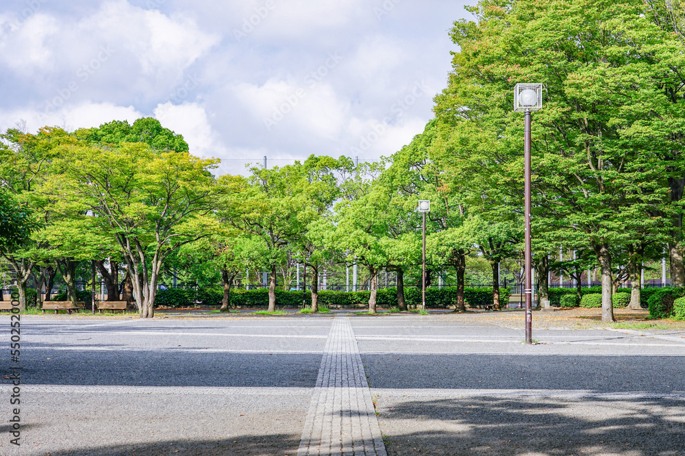 Fototapeta premium 代々木公園イベント広場(東京都渋谷区)