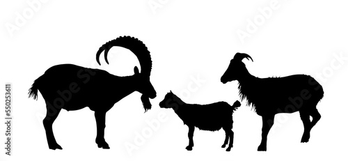 Mountain alps goats vector silhouette illustration isolated on white background. Wild animal symbol. Ibex goat couple  male and female with goatling. Wildlife animal family in natural habitat shadow.