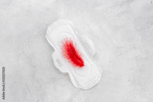 Menstruation period concept. White pad with red feather  top view