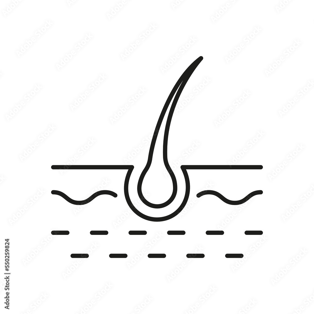 Fototapeta premium Hair Bulb Line Icon. Structure of Man Follicle Black Outline Pictogram. Icon of Hair Bulb for Science or Dermatology. Editable Stroke. Isolated Vector Illustration