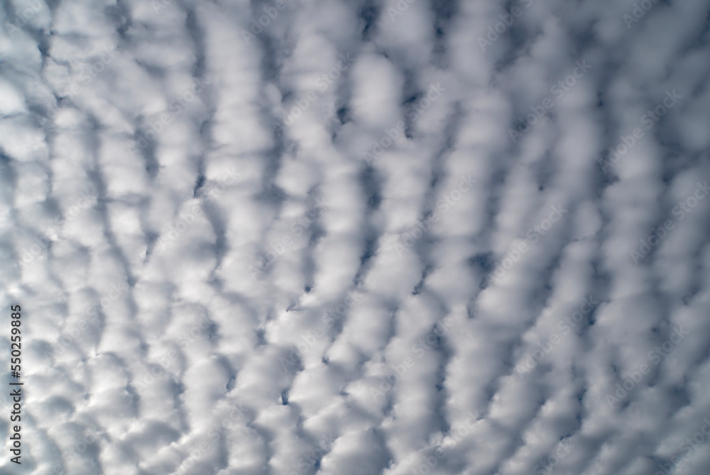White mackerel clouds against blue sky in daylight White mackerel clouds against blue sky in daylight
