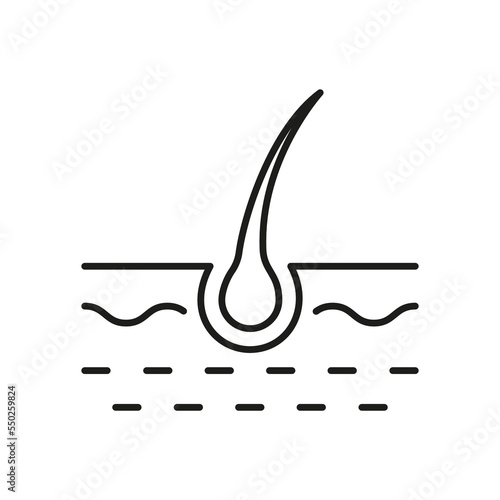 Hair Bulb Line Icon. Structure of Man Follicle Black Outline Pictogram. Icon of Hair Bulb for Science or Dermatology. Editable Stroke. Isolated Vector Illustration