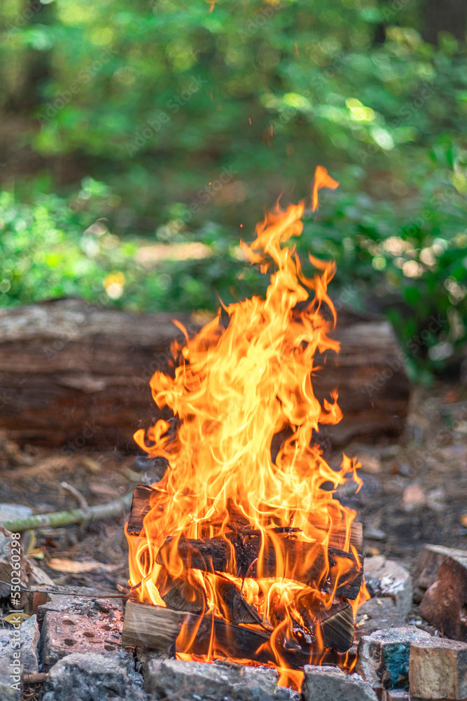 Bonfire or campfire. Orange flame of a fire at nature background. Bonfire or campfire. Orange flame of a fire at nature background.