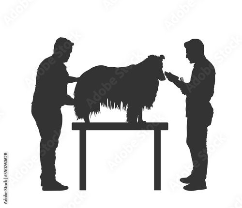 person with dog