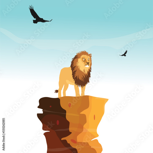 African Lion On Rock