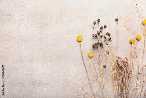 Dried flowers on light background © Pixel-Shot