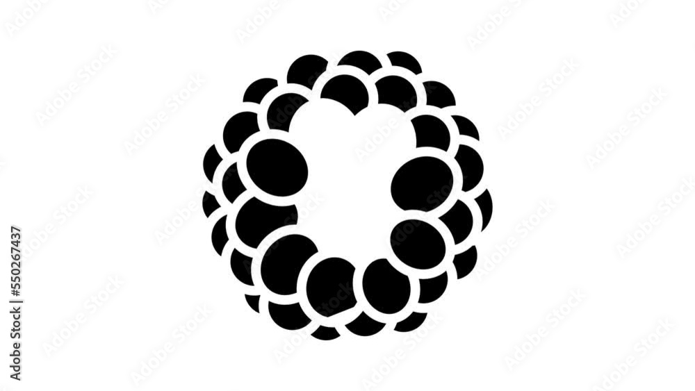 blue blackberry ripe glyph icon animation blue blackberry ripe glyph icon animation