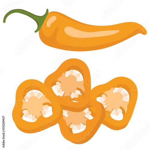 Yellow hot chili pepper. Slices of yellow hot pepper. Vector illustration of red chili pepper. Isolated image of chili pepper.