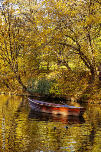 View of beautiful lake with boat in autumn forest © Pixel-Shot