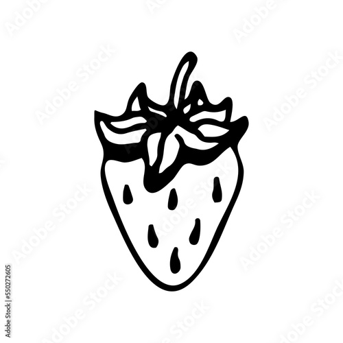 Strawberry line art. Summer garden berry. Hand drawn vector sketch illustration.