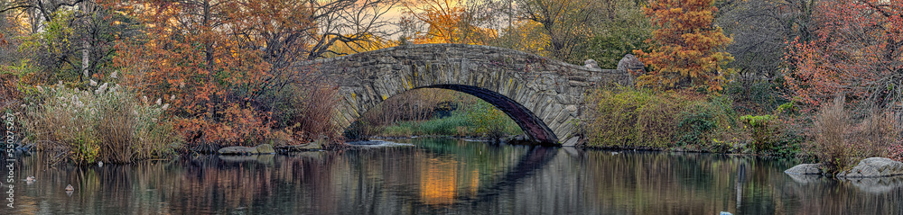 Fototapeta premium Gapstow Bridge in Central Park