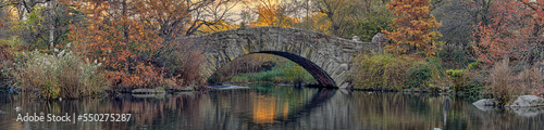 Fototapeta Naklejka Na Ścianę i Meble -  Gapstow Bridge in Central Park