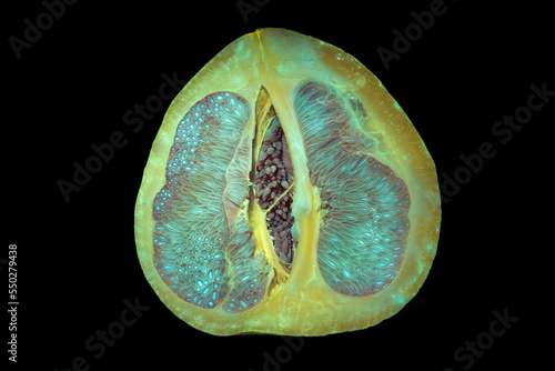 Ultraviolet Pomelum Obst Natur leuchten 