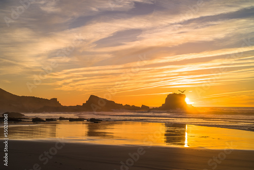 sunset on the beach. The reflection of the sun in the ocean water. Sandy beach. single man on an empty beach. Rocks sticking out of the water. Horizontally