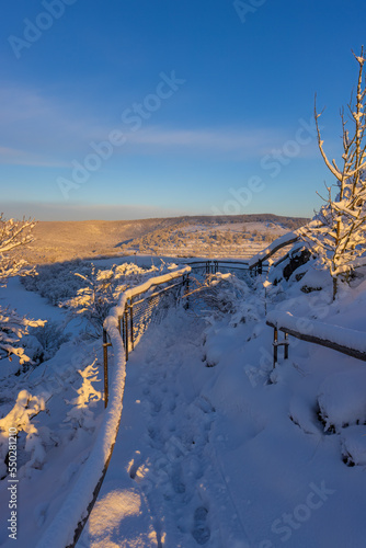 Nine Mills Viewpoint near Hnanice, NP Podyji, Southern Moravia, Czech Republic photo