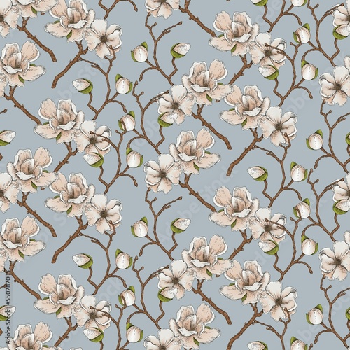 Fototapeta Naklejka Na Ścianę i Meble -  Print, a repeat pattern of blooming magnolia branches