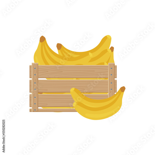 Bananas in wooden box vector illustration. Cartoon drawing of bananas from farm or garden for export isolated on white background. Organic food, farming, gardening concept