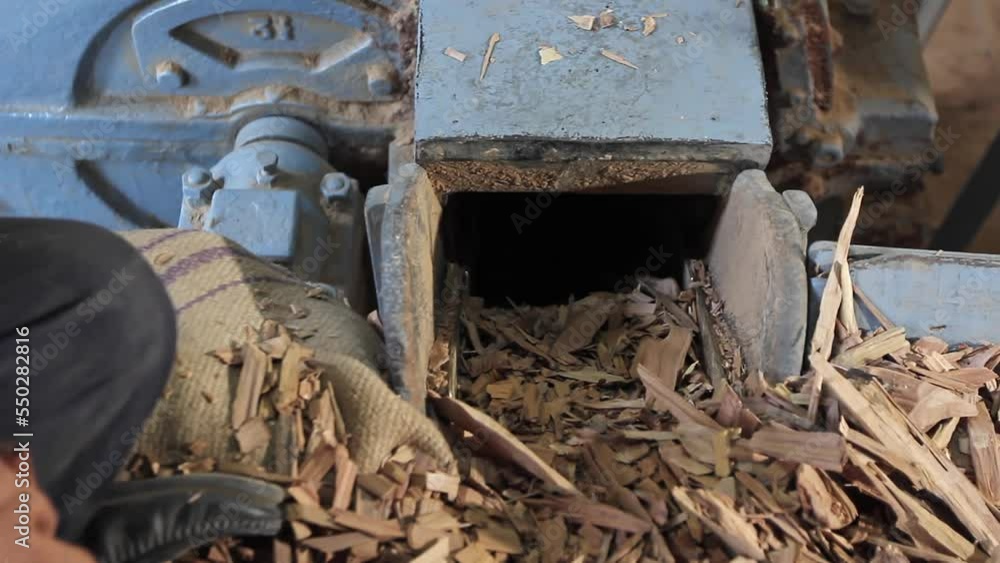 Human hands pushing small wooden pieces into wood chipper machine Human hands pushing small wooden pieces into wood chipper machine