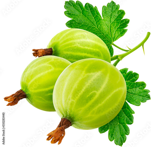 Bild auf Leinwand Gooseberry berries isolated