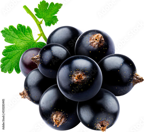Canvas Print Black currant isolated