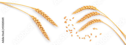 grain and ears of wheat isolated on white background. Top view