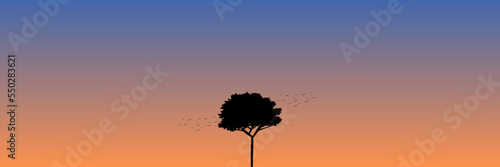 tree silhouette in sunset landscape vector illustration good for web banner, ads banner, tourism banner, wallpaper, background template, and adventure design backdrop