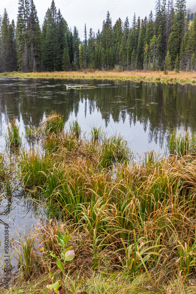 Landscape at Grand Teton National Park. Wyoming. Usa. Landscape at Grand Teton National Park. Wyoming. Usa.