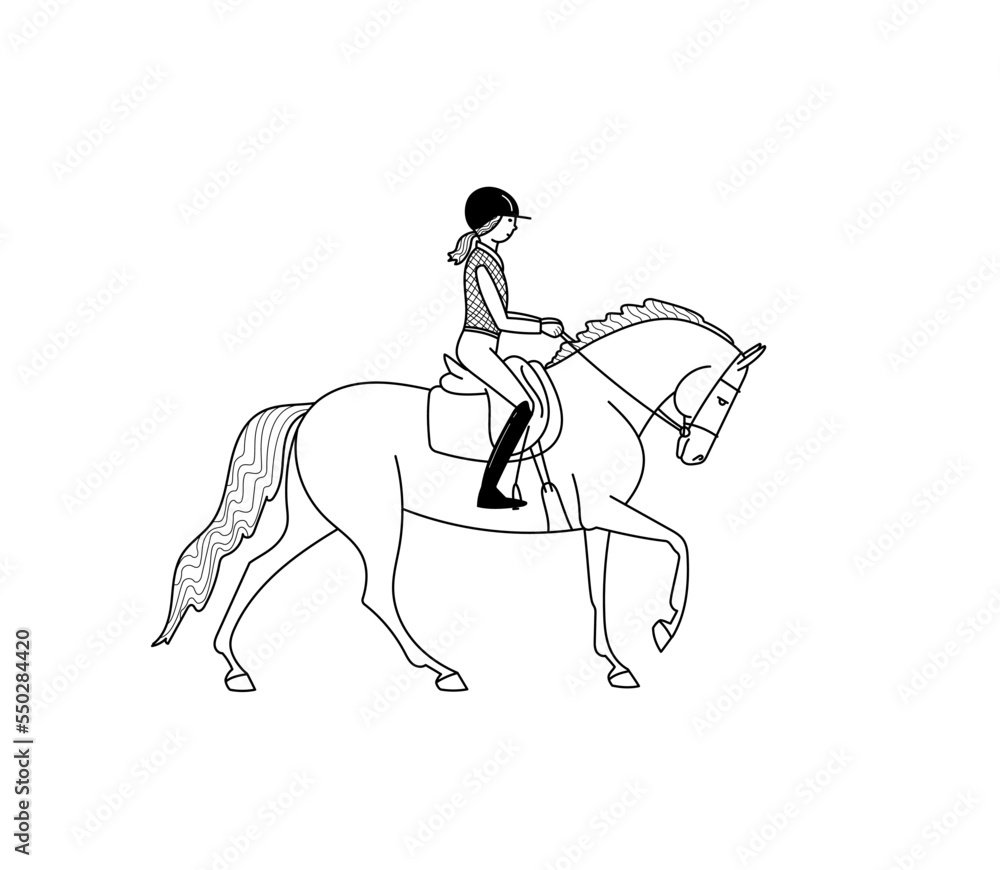 Fototapeta premium Horse and rider cantering, stylized vector, illustration, freehand pencil
