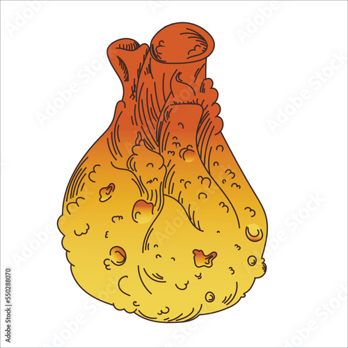 Wonton chinese cuisine icon. Asian food vector illustration. Wontons, Baozi, Jiaozi, Dimsams - options for Chinese dumplings isolated. Steamed Korean dumplings. Doodle flat vector. Hand drawing