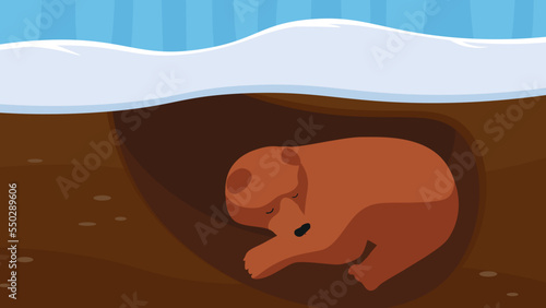 bear sleeps in a den