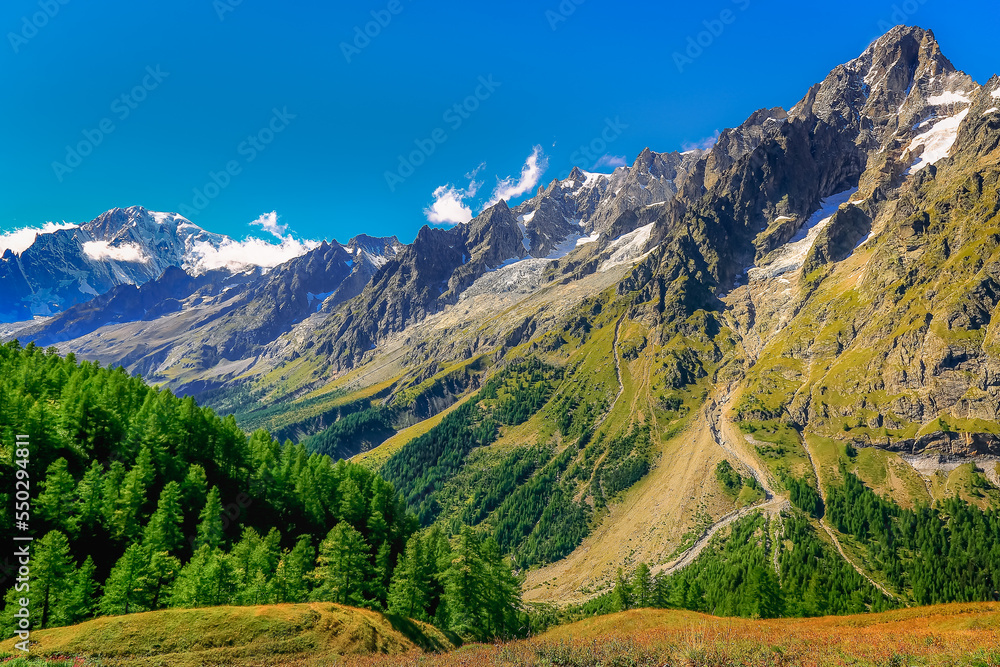Mont Blanc massif idyllic alpine landscape countryside, Chamonix, French Alps