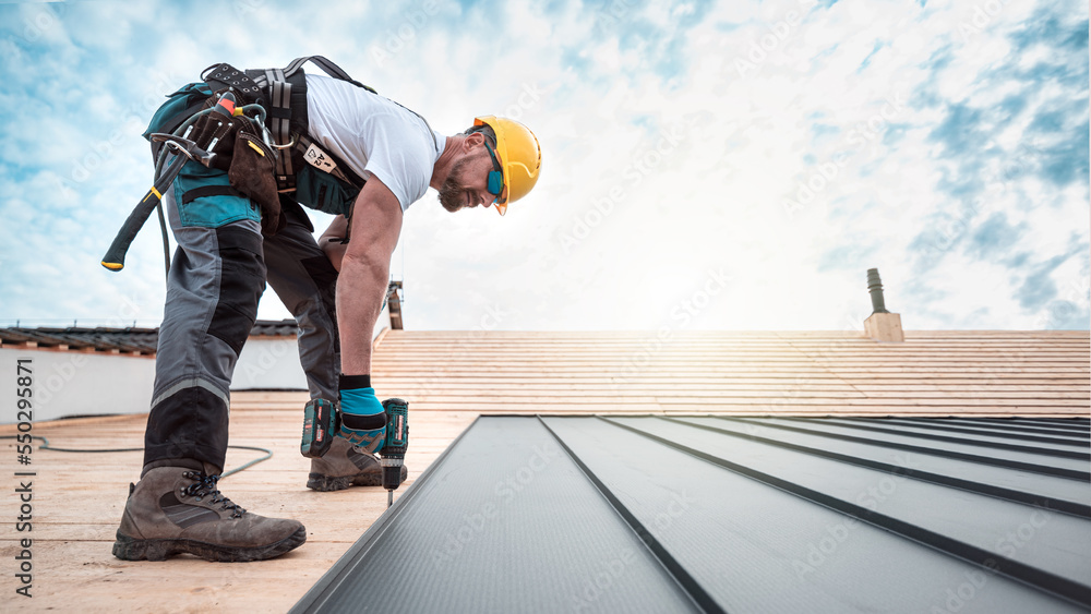 A roofer with a safety harness and tool belt is working with a electric screwdriver on the roof. He is anchoring the metal roofing with a screws. - obrazy, fototapety, plakaty 