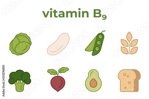 A set of line icons of products containing vitamin B9. Icons of beet, avocado, cereals, etc, editable stroke