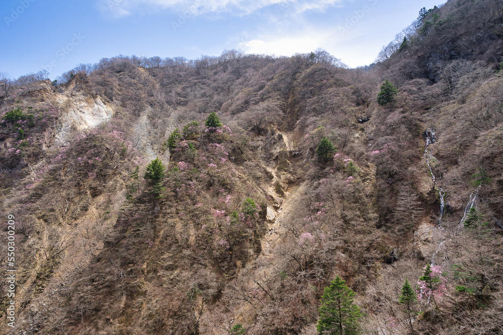 日光中禅寺湖と華厳の滝の景色 日光中禅寺湖と華厳の滝の景色