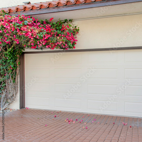 Square Garage exterior with bougainvillea on the side at La Jolla  California